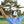 Boothbay Polo image 26