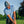 Printed Performance Polo image 11